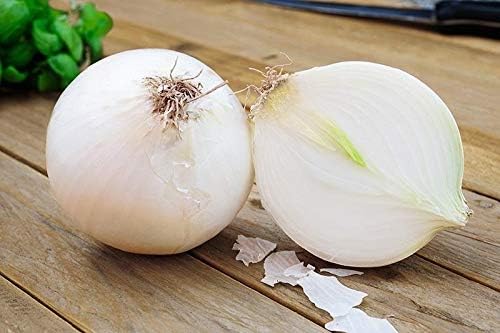 Seeds Vegetable Onion Snow White - 300 Seeds