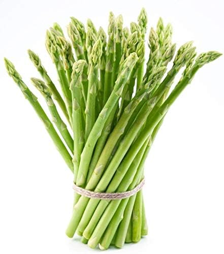Bulk Organic Mary Washington Asparagus Seeds (1/4 Lb)