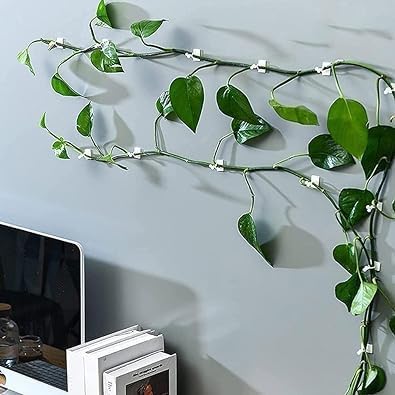 10 Pcs Plant Climbing Wall Self-Adhesive Fixed Clip Climbing Vine Vegetable Hook Garden Clip Hanging Stora Wire Home Sticky Plant Support Structures