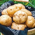 Northshire Farms