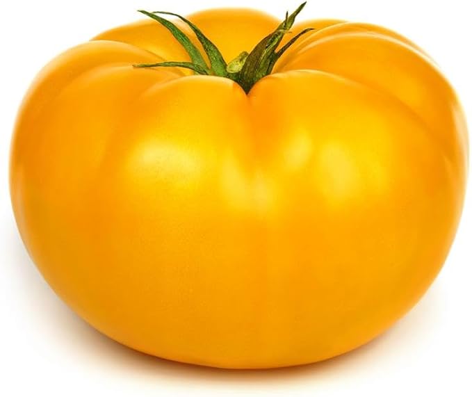 Yellow Beefsteak Tomato 250 Mg ~90 Seeds – Non-GMO, Heirloom, Indeterminate – Large 1–2 lb Fruits – Open-Pollinated Slicing Tomatoes for Garden Beds & Greenhouses – 85 Days to Maturity