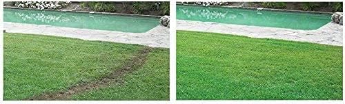 Hydro Mousse Liquid Lawn System – Grass Seed Spray Kit for Spot Repair & Full Lawn Seeding – Easy-to-Use Lawn Patch Solution for All Grass Types