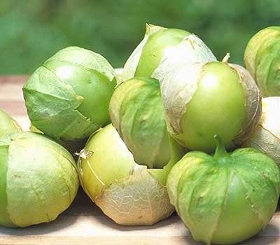 Tomato Tomatillo Toma Verde Great Heirloom Garden Vegetable by Seed Kingdom Bulk 2,000 Seeds