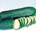 Park Seed Variety of Cucumber Seeds, Planting Cucumbers, Vegetable Seeds, Easy to Grow, Non-GMO, Perfect for Harvesting, Marketmore Select Organic, Pack of 20