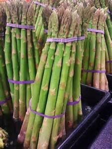 Asparagus UC 157 F2 Hybrid Great Vegetable by Seed Kingdom Bulk 2,000 Seeds