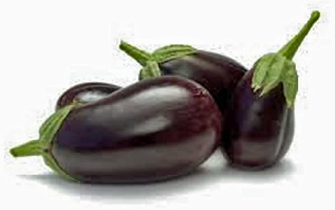 Eggplant Seed, Black Beauty, Heirloom, Non GMO, 100 Seeds, Vegetable