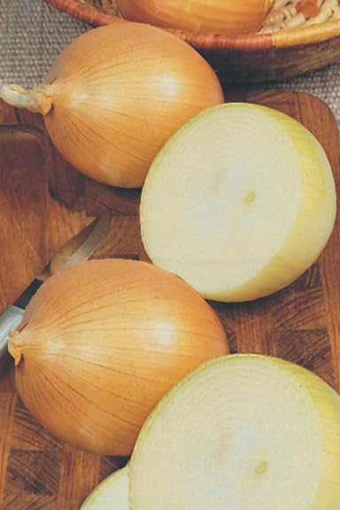 Bonnie Plants Candy Onion, Live Plant, Day-Neutral Onion Set, Disease-Resistant Sweet Onion Ideal for Raised Beds and In-Ground Gardens, 4-Pack