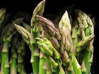 Bulk Organic Mary Washington Asparagus Seeds (5 lb) Non GMO