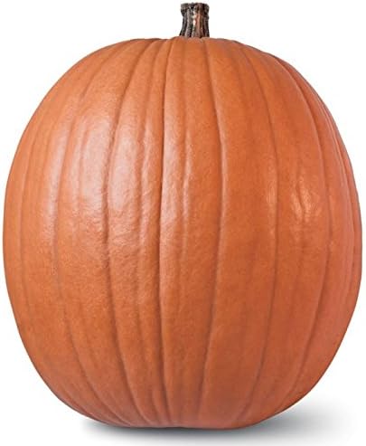 Howdens Field Pumpkin Seeds