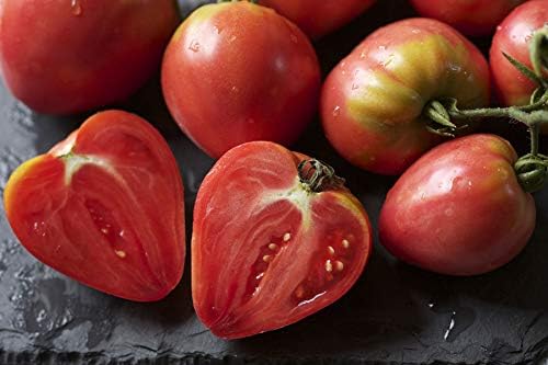 RAISE ME UP: Seeds Red Bull's Heart Tomato Indeterminate Non GMO Heirloom