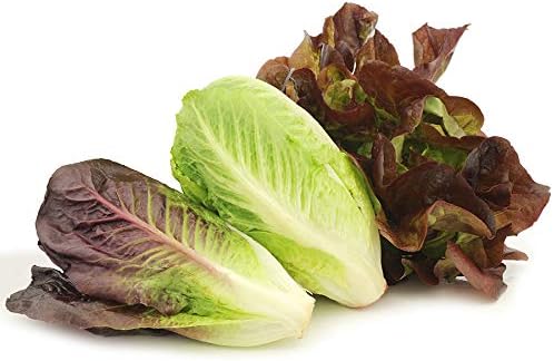 Park Seed Tricolor Romaine Blend Lettuce Seeds – Vivian, Silvia & Brun de Hiver Varieties, Colorful Cool-Season Salad Mix for Spring, Fall or Mild Winter Gardens, Pack of 400