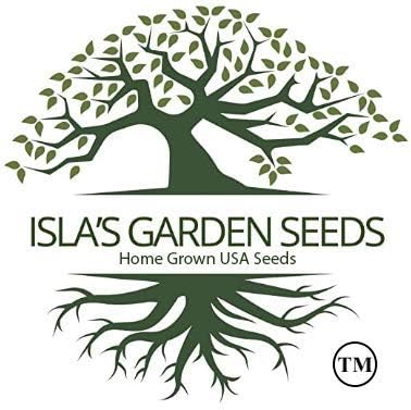 Perennial Baby’s Breath Seeds (Gypsophila) – 500+ Heirloom Non-GMO Seeds by Isla’s Garden Seeds, Delicate White Blooms, Perfect for Cut Flowers, Borders & Cottage Gardens