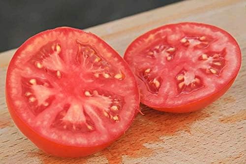 Seeds Red Mikado Tomato Heirloom Vegetable for Planting Non GMO