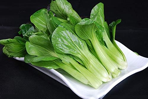 Seeds Vegetable Chinese Cabbage Bok Choy (Pak Choi) Green - 300 Seeds