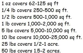 Dirt Goddess Super Seeds ~ Southeast Wildflower Seed Mix (1 Lb) 450,000 Seeds Non GMO Bulk