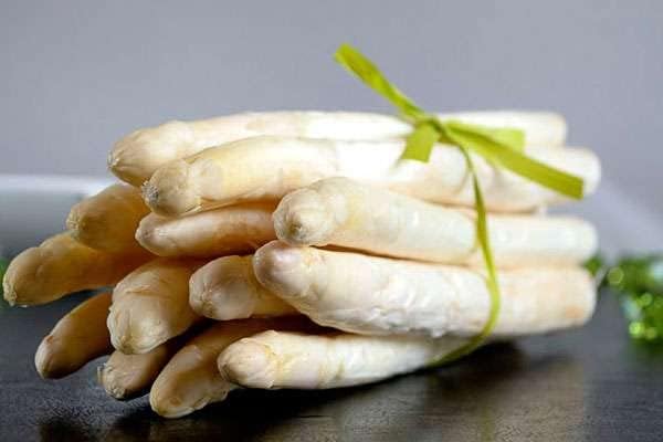 50+ Seeds Asparagus (Sparrow Grass) - Vegetable White