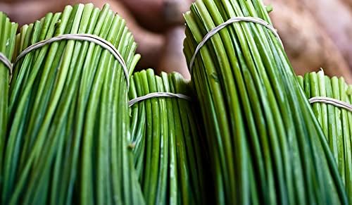 Seeds Chives Onion - Heirloom Vegetable - GMO Free