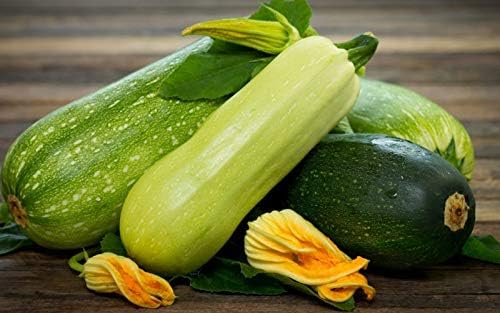 Seeds4planting - Seeds Zucchini Courgette Squash Summer Mix 35 Days Fast Heirloom Vegetable Non GMO