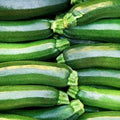 Park Seed Zucchini Squash Seeds – Grow Your Own Garden Vegetables, Dark Green Heirloom, Compact Bush Plant with Nutrient-Dense Fruits, Mild Flavor and High Yield, Pack of 20