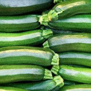 Park Seed Zucchini Squash Seeds – Grow Your Own Garden Vegetables, Dark Green Heirloom, Compact Bush Plant with Nutrient-Dense Fruits, Mild Flavor and High Yield, Pack of 20