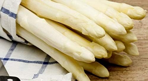 White Asparagus Seeds