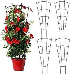 4 Pack 43'' Indoor Plant Trellis for Potted Plants, Metal Garden Trellis for Climbing Plants Outdoor, Black Coated Flower Pot Trellis for Climbing Plants Houseplants Vine Ivy
