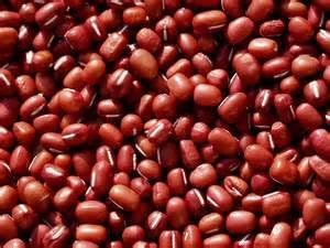 Adzuki Bean Seed, Microgreen, Sprouting,16 OZ, Non GMO - Country Creek LLC Brand - High Sprout Germination- Edible Seeds, Gardening, Hydroponics, Growing Salad Sprouts