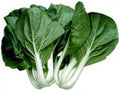 Cabbage Pak Choi White Stem Great Heirloom Vegetable by Seed Kingdom Bulk 1/4 Lb Seeds