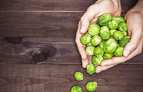 SeedsUP - 300+ Seeds Long Island Brussels Sprouts Cabbage - Vegetable Green