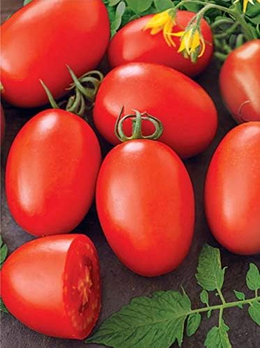 CEMEHA SEEDS - Seeds Red De-Barao Tomato Determinate Non GMO Vegetable for Planting