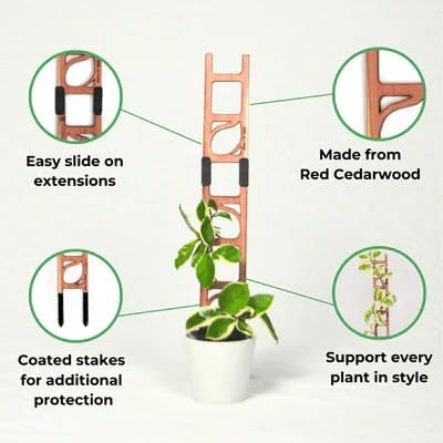 Treleaf Stella Regular Extension Kit - Wooden Extendable Plant Trellis for Indoor Climbing Houseplants - Modular Plant Support