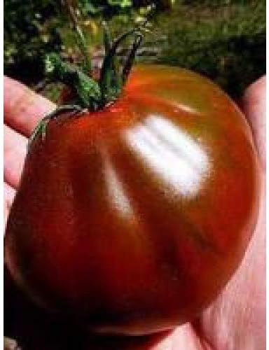 Seeds Tomato Black Truffle Vegetable Garden Heirloom for Planting Non GMO