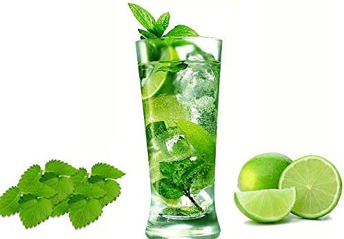 100+ Mojito Mint Seeds, Heirloom Herb Non-GMO, Fragrant Rare! Ships from USA Mentha spicata