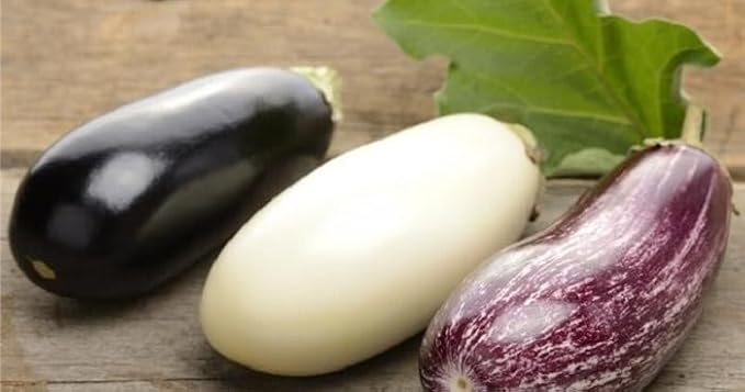 Seeds Eggplant Long Mix- Heirloom Vegetable - GMO Free