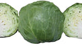Park Seed Katarina Hybrid Cabbage Seeds, Quick Growth, Pack of 50
