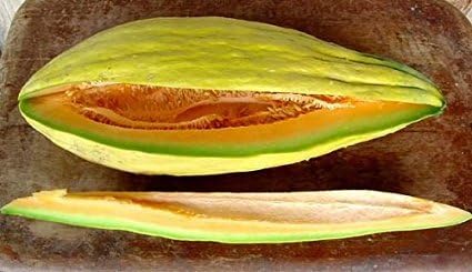 Melon Banana Great Heirloom Vegetable by Seed Kingdom 100 Seeds
