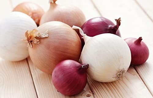 KIRA SEEDS - Seeds Onion Mix - Neutral Day - Heirloom Vegetable - GMO Free