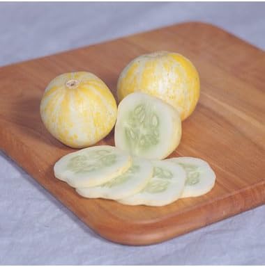 Cucumber Lemon Great Heirloom Vegetable Seeds by Seed Kingdom (35 Seeds)