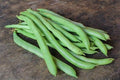 Kentucky Blue Pole Bean (25+ Seed Pack) - COOL BEANS N SPROUTS Brand - Non-GMO - Home Gardening