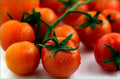 Tomato Large Cherry Basket Pack Garden Heirloom Vegetable Seeds by Seed Kingdom (100 Seeds)