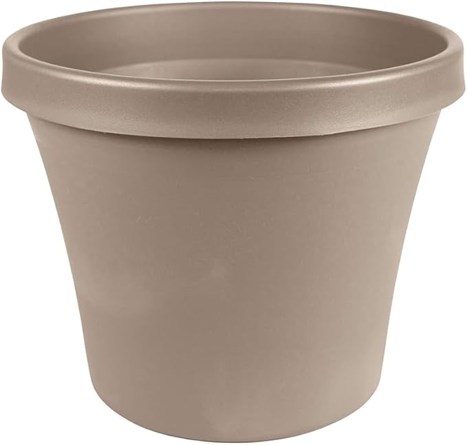 Bloem Terra 6" Diameter Round Pebble Stone Resin Planter Pot with Drainage Holes for Indoor and Outdoor Gardening