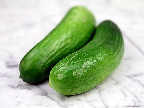 30 Muncher Burpless Sweet Cucumber Seeds, Heirloom Non-GMO, Non-Bitter and Acid Free, Crispy and Sweet, Fragrant and Delicious, Cucumis sativus, Grown in USA