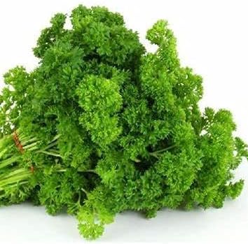 Parsley, Triple Curled Parsley Seeds, Heirloom Non GMO, 50 Seeds,Parsley Seeds, Heirloom, Non GMO,Parsley Seeds