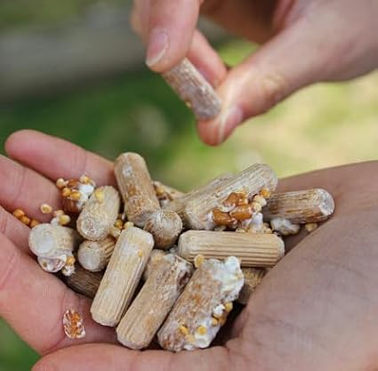 North Spore Log Inoculation Bundle with 100 ct Shiitake Plugs, (4-Pack) Daubers, and 1lb Wax