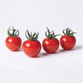 Park Seed Cherry Tomato Seeds, Planting Vegetables, Easy to Grow, Non-GMO, Variety of Colors and Sizes, Spring Garden, Braveheart Hybrid Cherry, Pack of 15