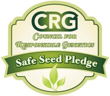 Bulk Organic Mary Washington Asparagus Seeds (1/2 lb) Non GMO