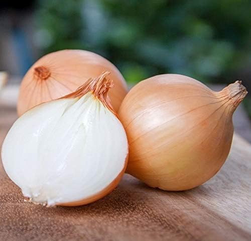 Seeds Chalcedony Onion - Heirloom Vegetable - GMO Free