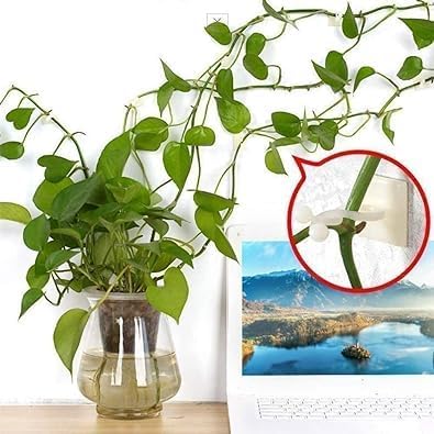 10 Pcs Plant Climbing Wall Self-Adhesive Fixed Clip Climbing Vine Vegetable Hook Garden Clip Hanging Stora Wire Home Sticky Plant Support Structures