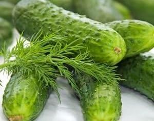 Cucumber Boston Pickling Great Heirloom Vegetable by Seed Kingdom Bulk 1 OZ Seeds