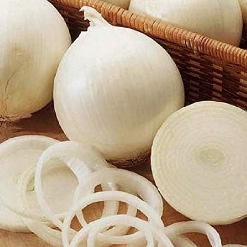 Seeds Vegetable Onion Snow White - 300 Seeds